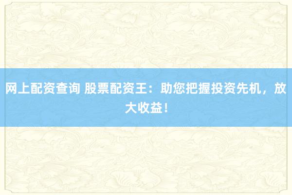 网上配资查询 股票配资王：助您把握投资先机，放大收益！