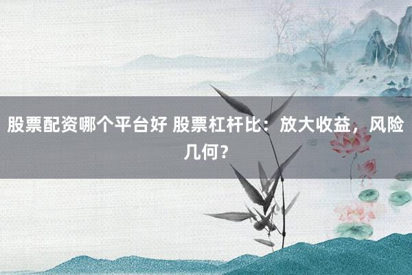 股票配资哪个平台好 股票杠杆比：放大收益，风险几何？