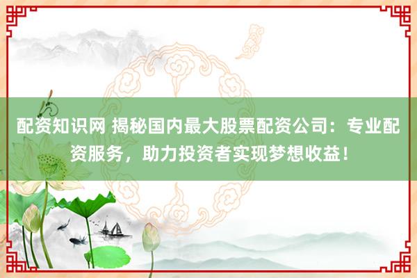 配资知识网 揭秘国内最大股票配资公司：专业配资服务，助力投资者实现梦想收益！