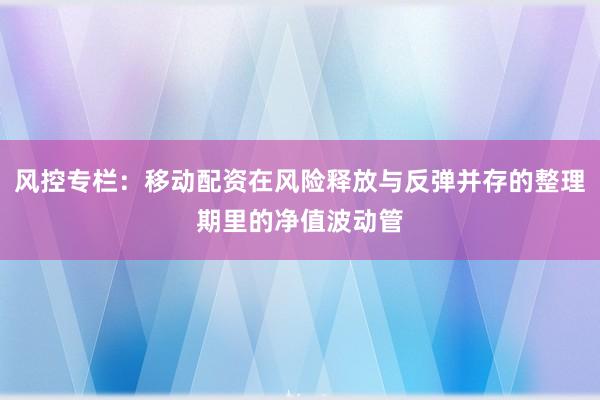 风控专栏：移动配资在风险释放与反弹并存的整理期里的净值波动管