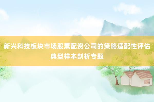 新兴科技板块市场股票配资公司的策略适配性评估典型样本剖析专题