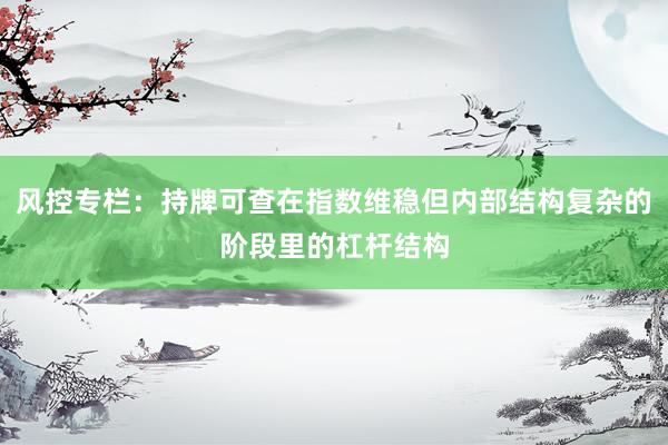 风控专栏：持牌可查在指数维稳但内部结构复杂的阶段里的杠杆结构