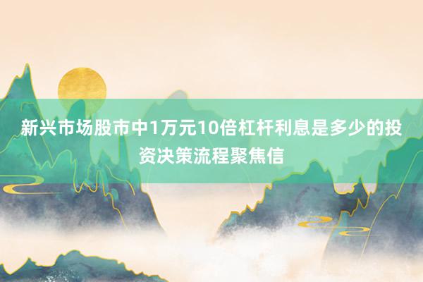 新兴市场股市中1万元10倍杠杆利息是多少的投资决策流程聚焦信