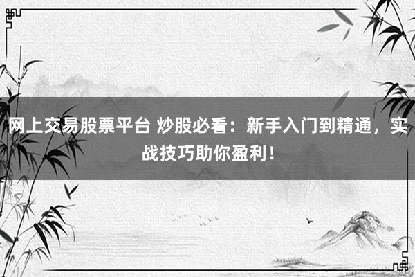 网上交易股票平台 炒股必看：新手入门到精通，实战技巧助你盈利！