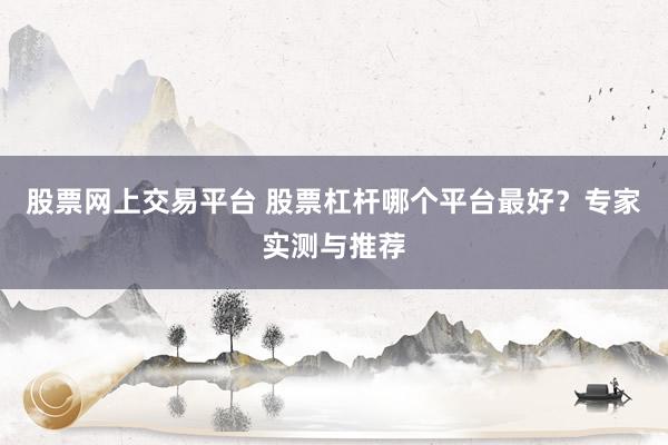 股票网上交易平台 股票杠杆哪个平台最好？专家实测与推荐